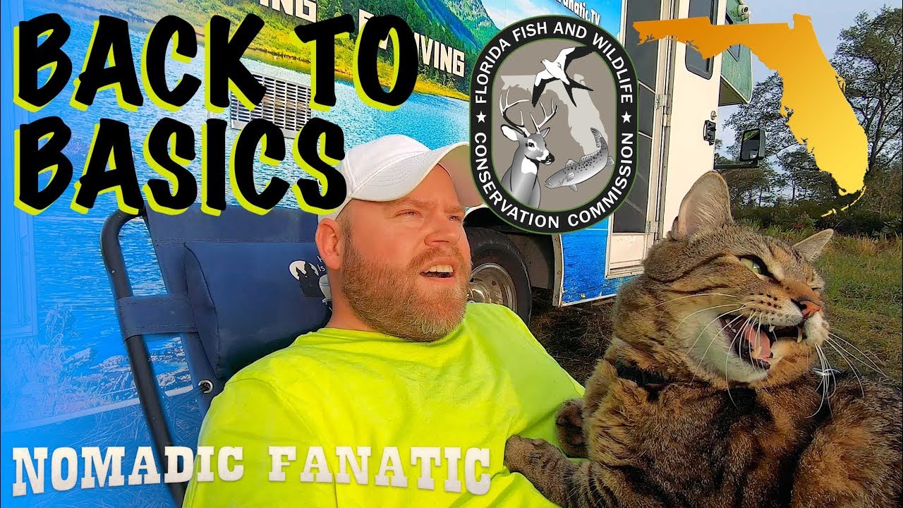 Talking To Birds ~ WMA Free Camping in Florida!