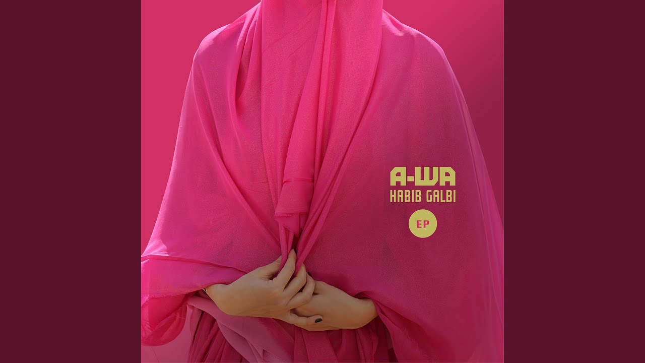 Habib Galbi (P.A.F.F Remix)