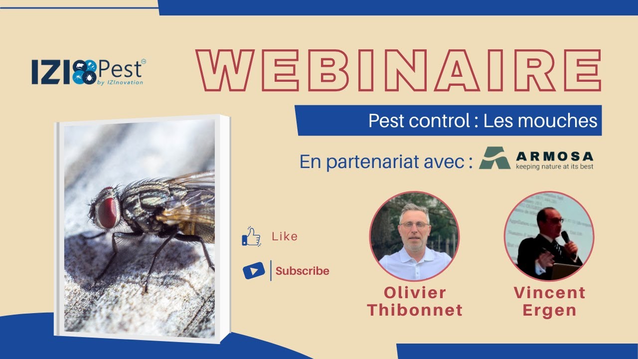 Webinaire : Lutte contre les mouches Izipest et Armosa