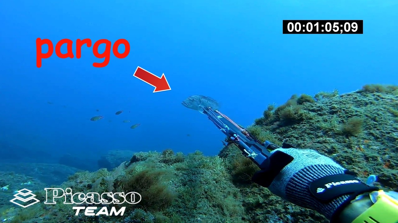 pesca submarina en la isla de Madeira con Marcio Cardoso del equipo Picasso Spearfishing