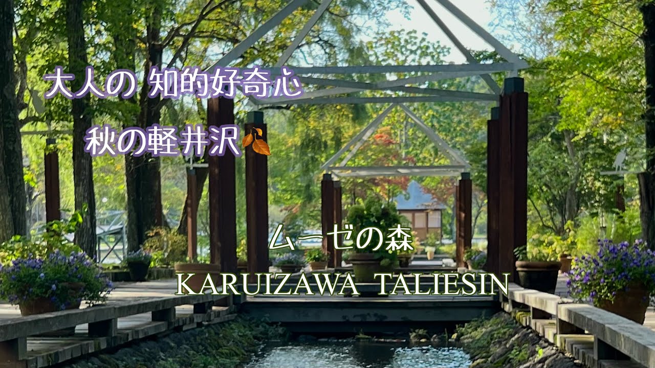《軽井沢タリアセン🍂ムーゼの森 /作家も愛した湖畔に広がる自然と文化》