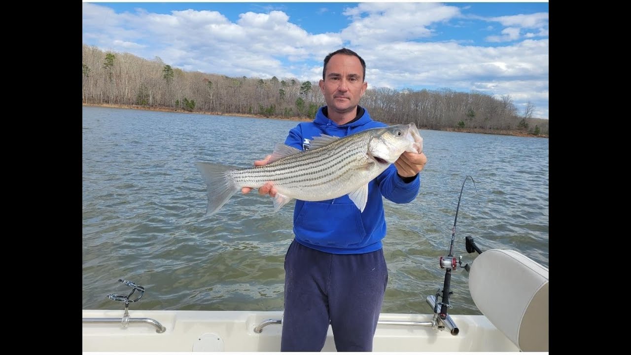 Springtime Stripers High Rock Lake
