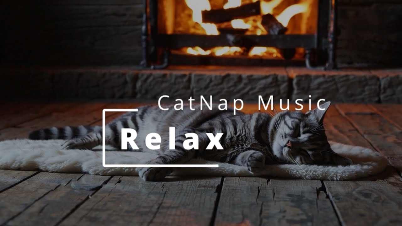 Music To Calm Your Cat 🐱 Stress Relief And Healing Music For Anxious Felines