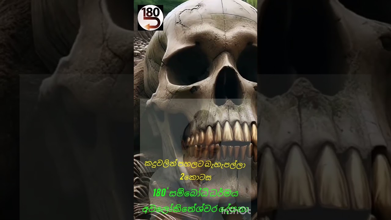 ආසනයේ වාඩි කරනවා කිවුවෙත් මම ආසනය රත්කරන්නෙත් මම වෙන්වා .