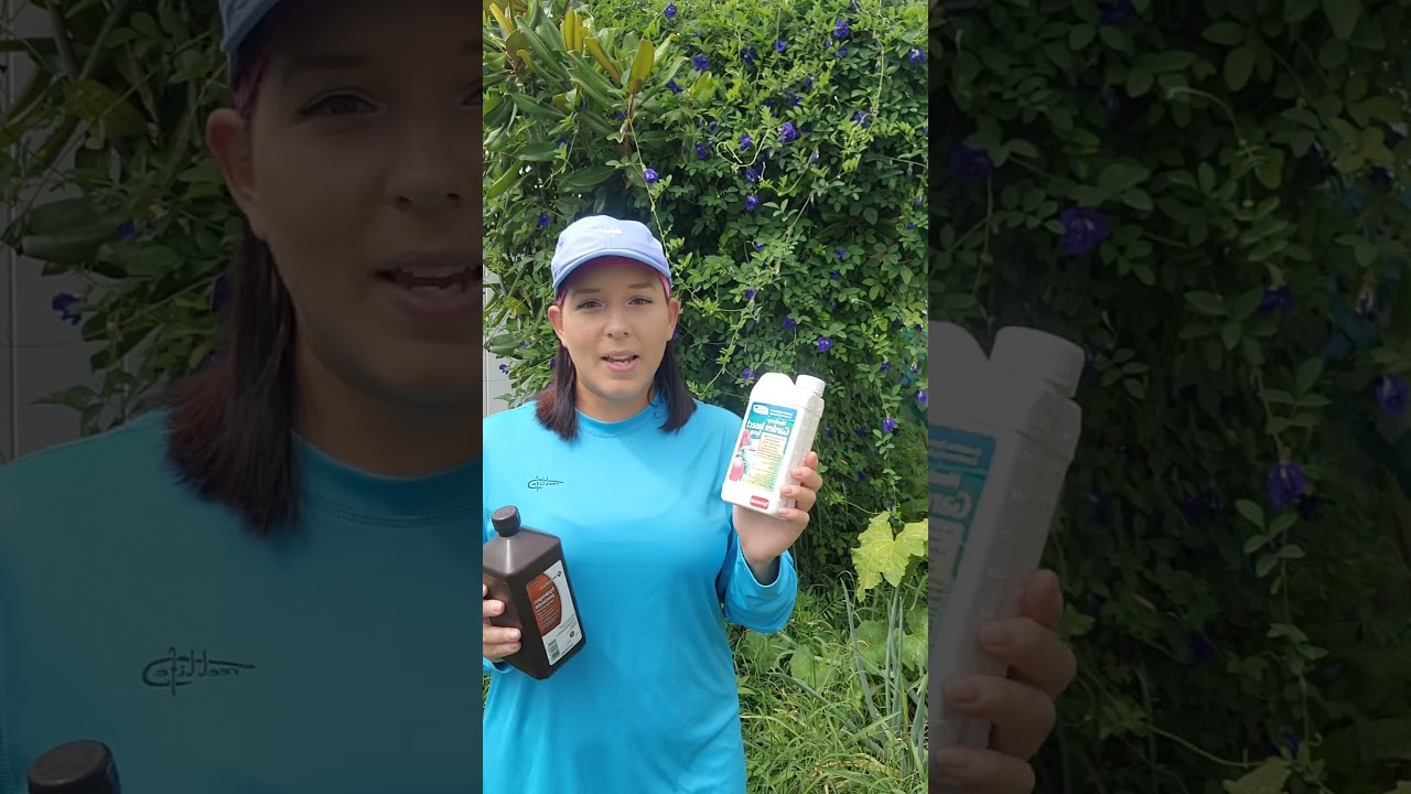 2 Garden Treatments That Take Care Of The Majority Of Pests & Diseases #garden #gardeningtips #plant