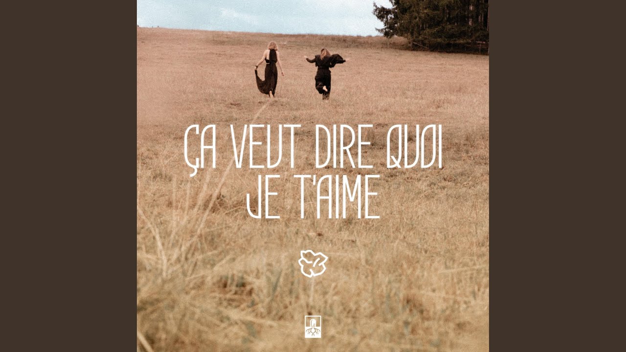 Ça veut dire quoi je t'aime