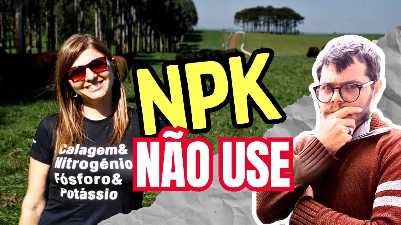 Adubação de Pastagem: Por que você perde dinheiro com adubo formulado (E o que usar)