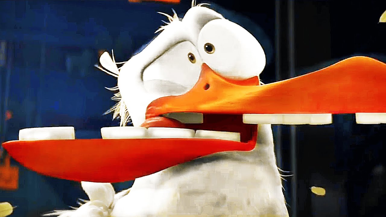 STORKS Clip - 