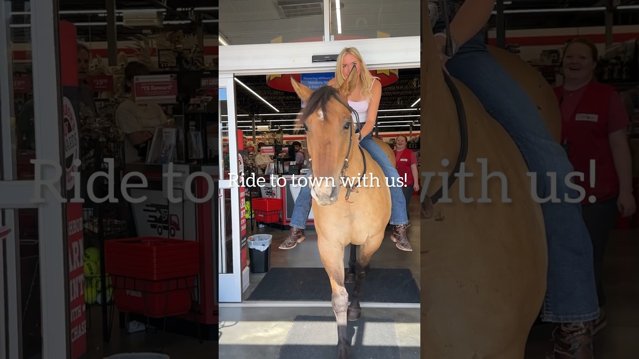 Another day another Tractor Supply trip #tractorsupply #horses #equestrian #cowgirl