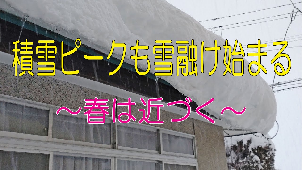 積雪ピークも雪融け始まる～春は近づく～