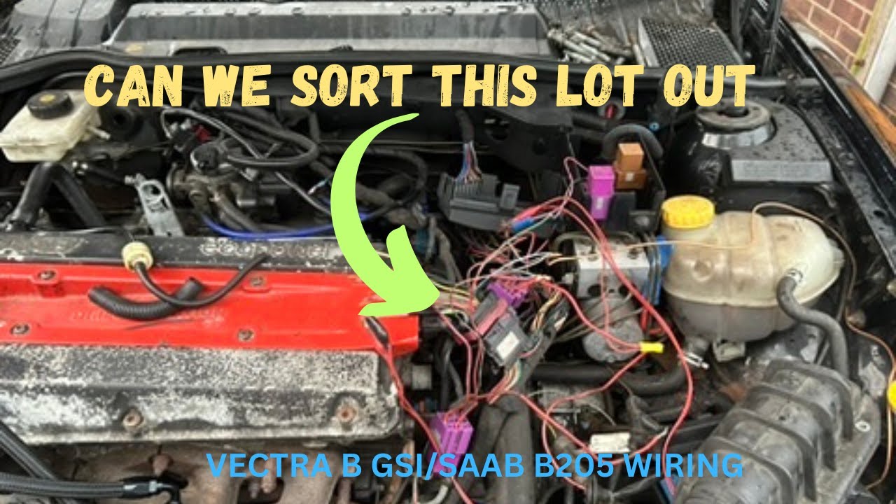 I HATE DOING WIRING LETS SORT THIS OUT