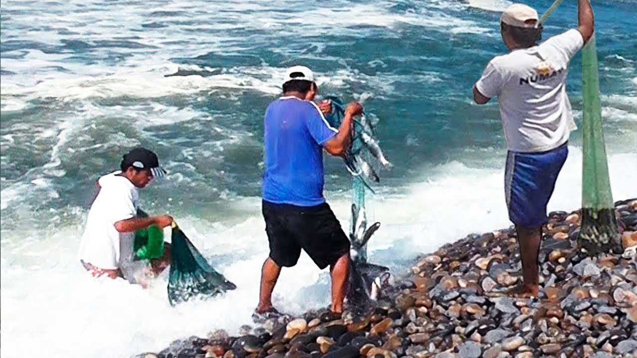 Mira!!, estas Incre&iacute;bles Acciones de PESCA con Atarraya