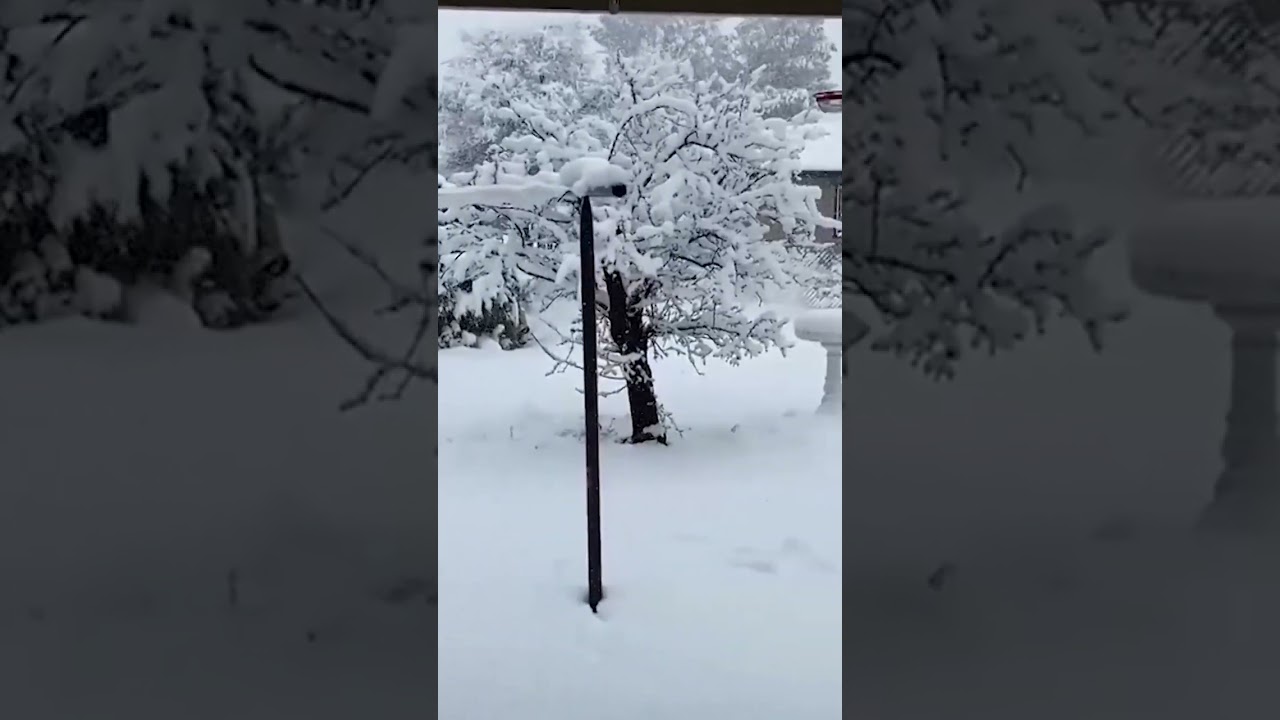 Winter storm blankets southern California in snow