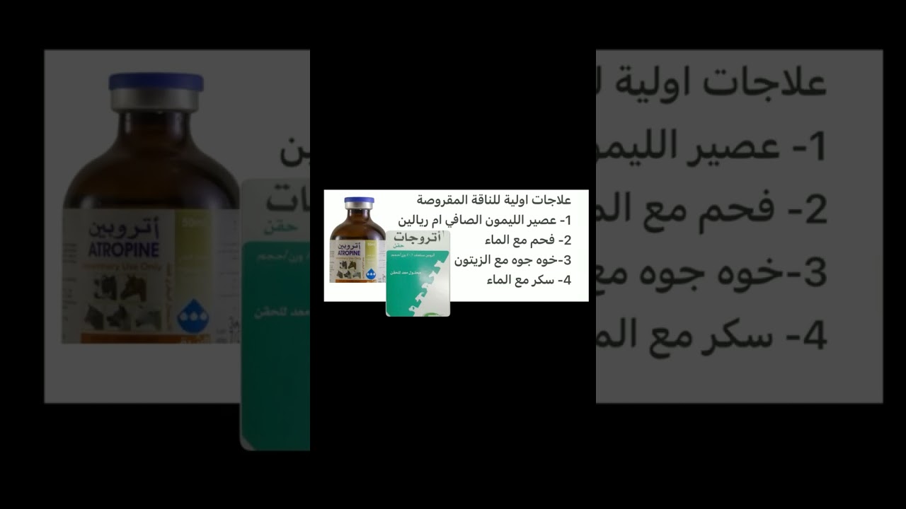 الاسعافات الاولية للناقة المقروصة🪱