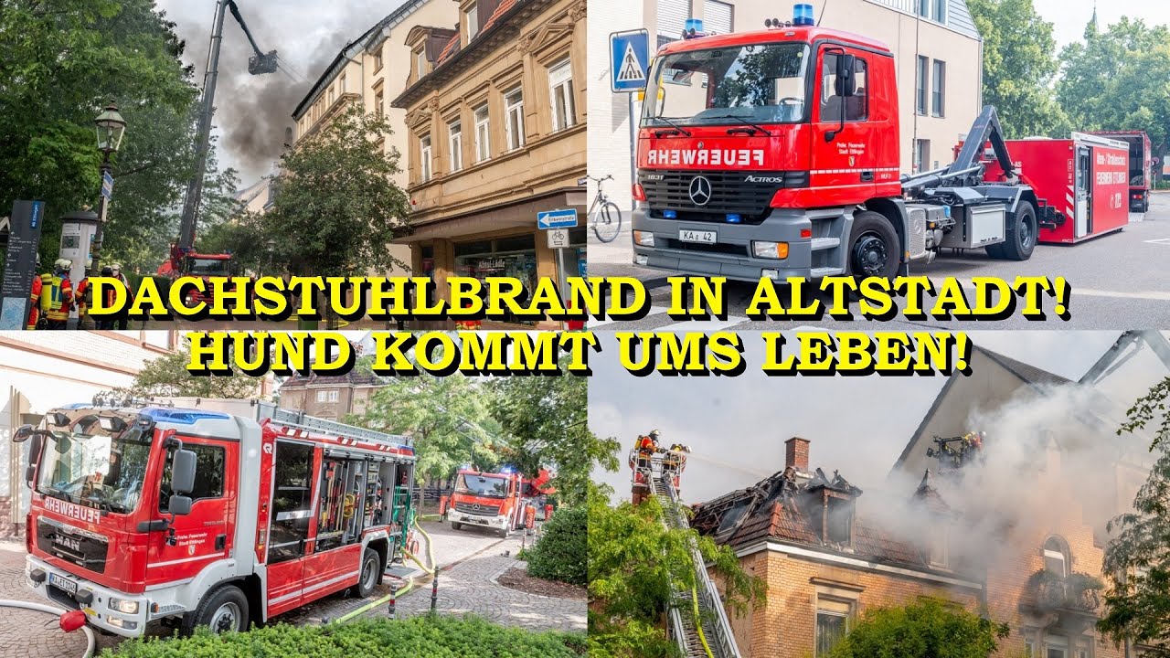 [Großbrand in Ettlinger Altstadt] - Dachgeschoss brennt aus + Hund kommt ums Leben - | Feuerwehr