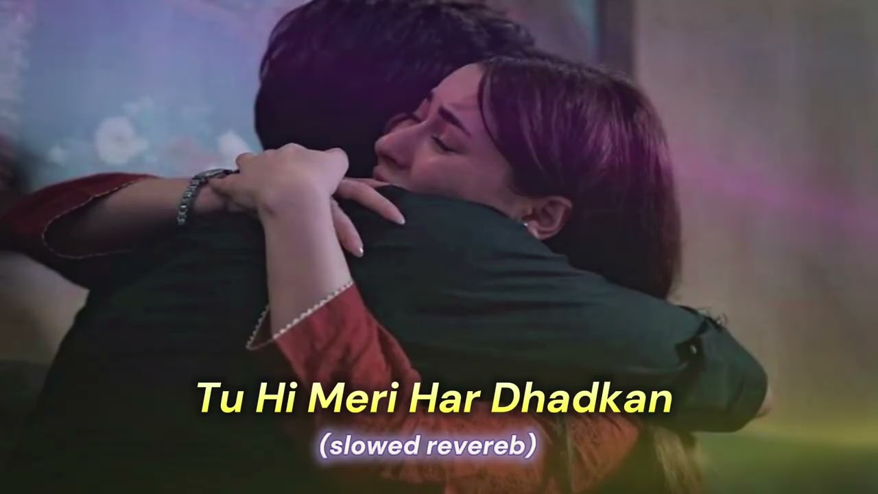 Tu Hi Meri Har Dhadkan song| hindi song|love mashup song|romantic song|lofi song|heart touching song
