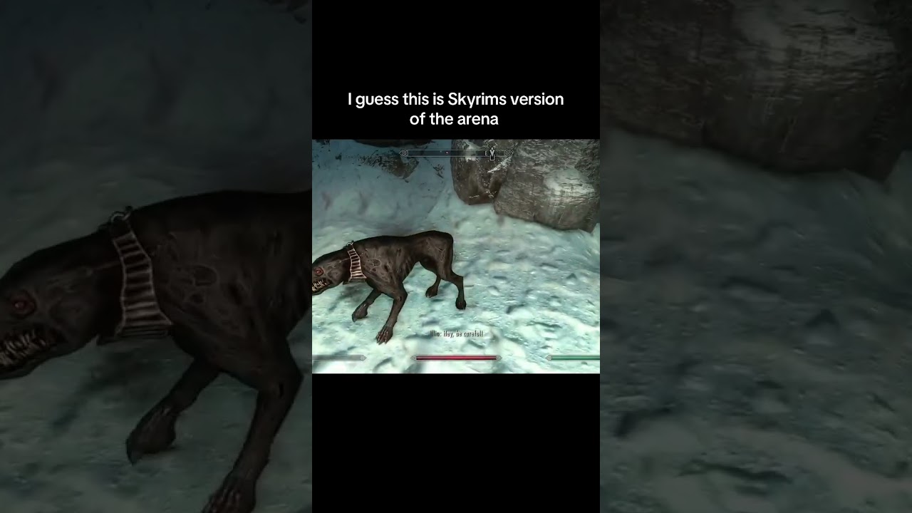 Skyrims version of the arena #skyrim #elderscrolls #skyrimspecialedition #skyrimse