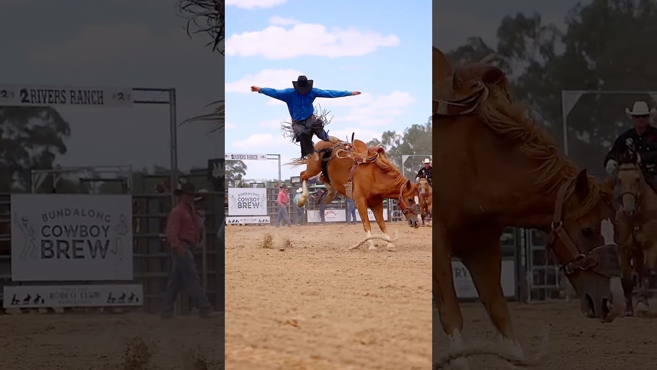 Bundalong Rodeo 2024 - Saddle Bronc (Czy zauważyłeś... oglądaj do końca)