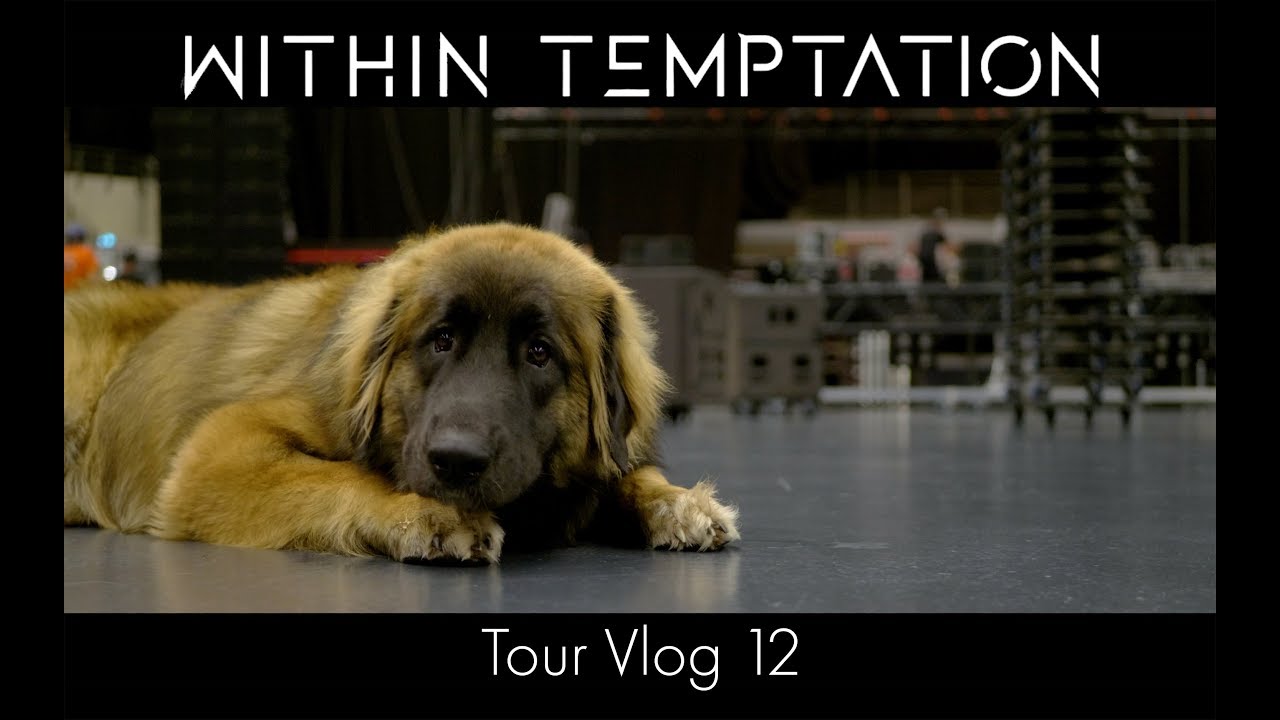 Within Temptation - Vlog 12 (some crew members explain their jobs)