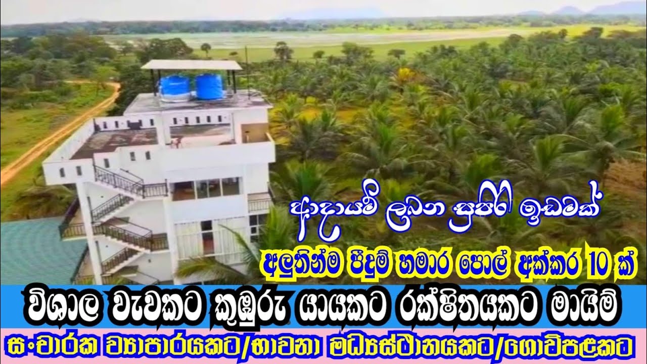 ආදායමක් ලබන සුපිරි ඉඩමක්. ඩොලර් මවන්න පුළුවන් ආයෝජනයක් මේ වගේ ඉඩමක් ආයෙ හොයනවා බොරු