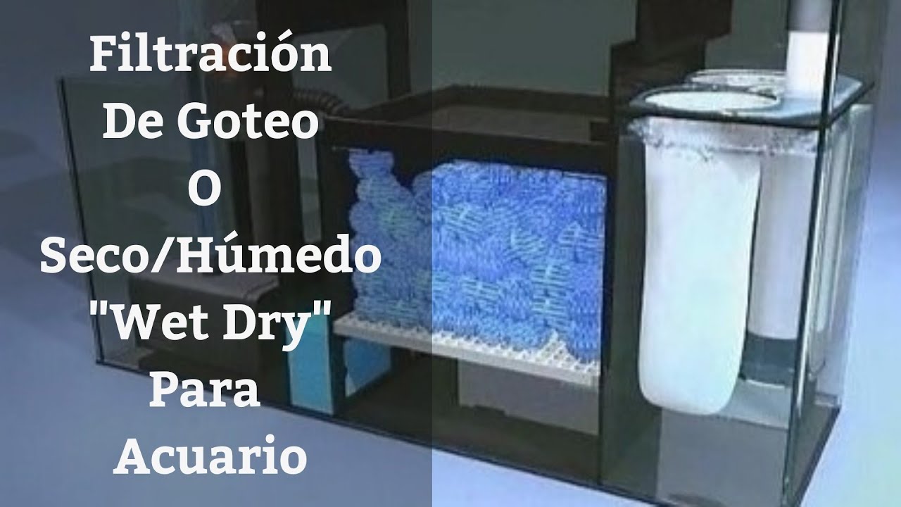 🔵 Filtración De Goteo O Seco/Húmedo 