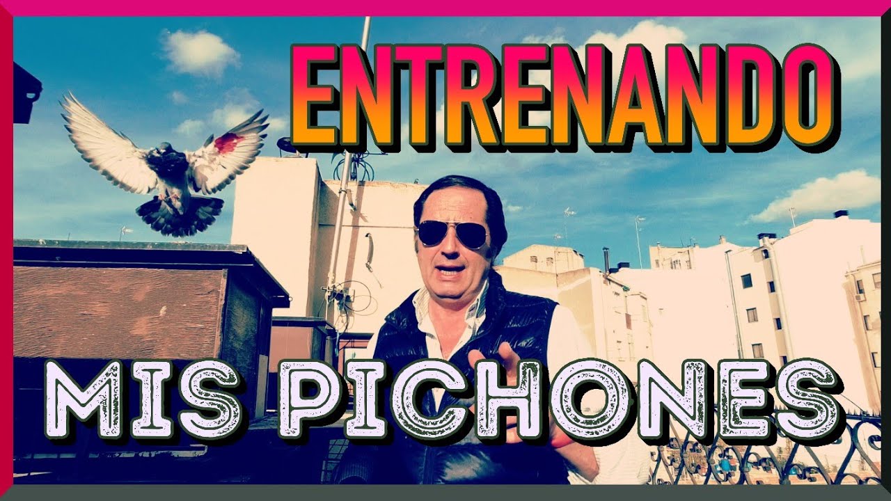 Así preparo mis pichones | 🔐 Más Capturas 🔐 y suelta de zuritas 😍