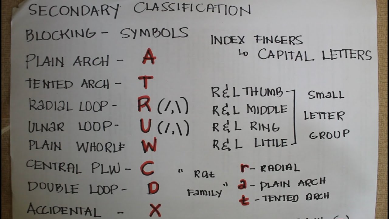 SECONDARY CLASIFICATION//FINGERPRINT CLASSIFICATION FORMULA// PERSONAL IDENTIFICATION