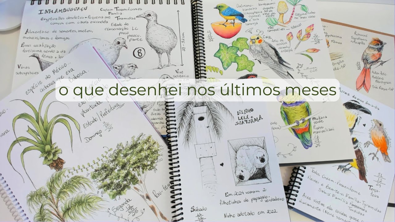 Sumi do Youtube mas continuei desenhando ✍🏼 📔 | Alguns desenhos que fiz nesses últimos meses 📆 🍃🍂
