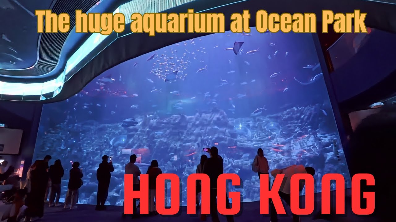 Grand Aquarium walking tour at Ocean Park, Hong Kong / Vlog 2026  Walking tour