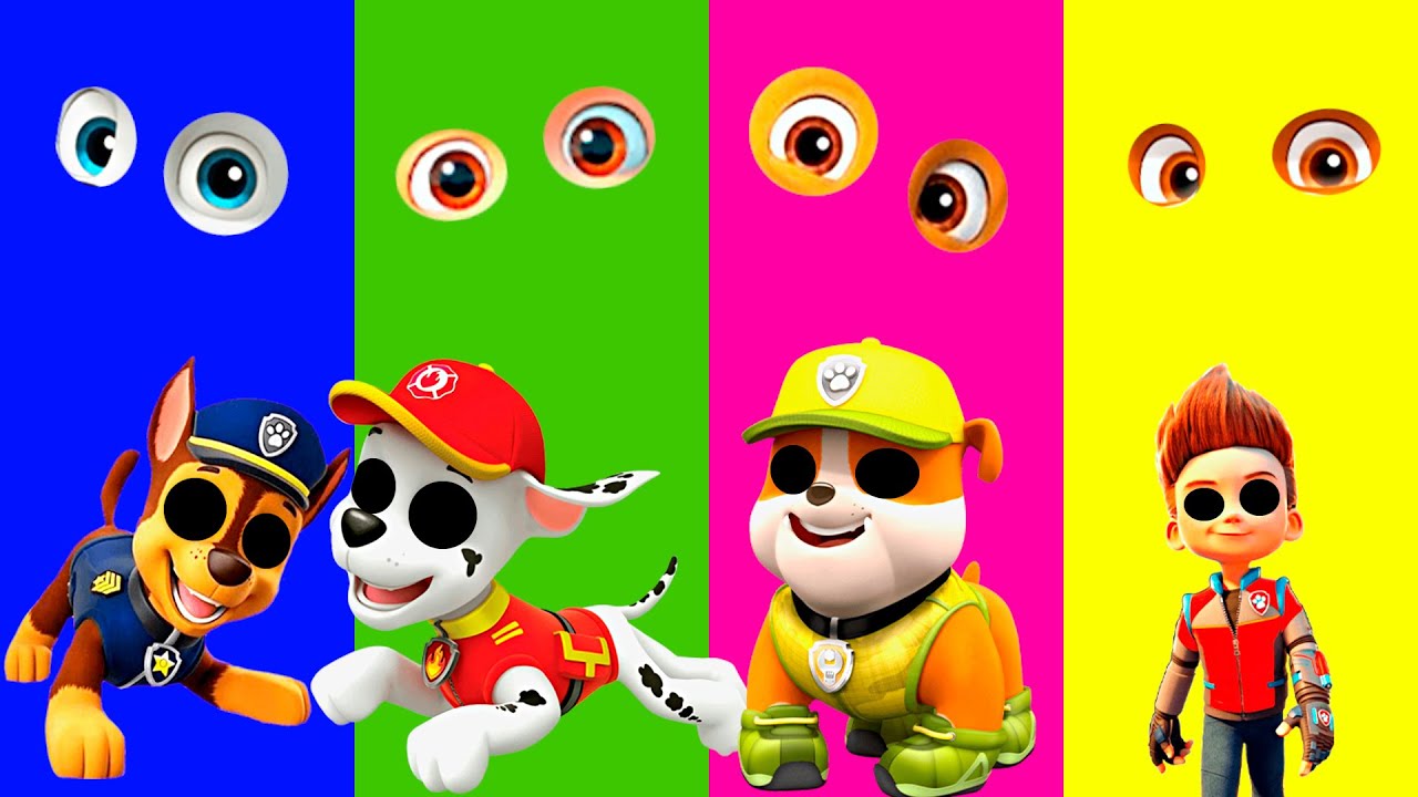 Wrong eyes👀 PAW Patrol - DAME TU COSITA Funny Wrong Head