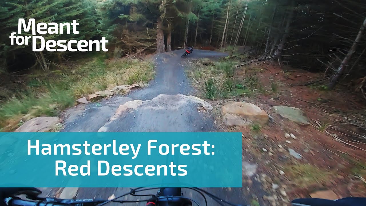 Hamsterley Forest: Red Grade MTB Descents - Mountain Biking in Durham