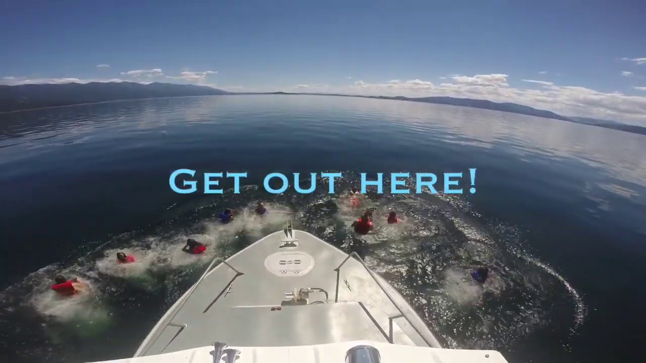 Field Ecology Courses  @FLBS