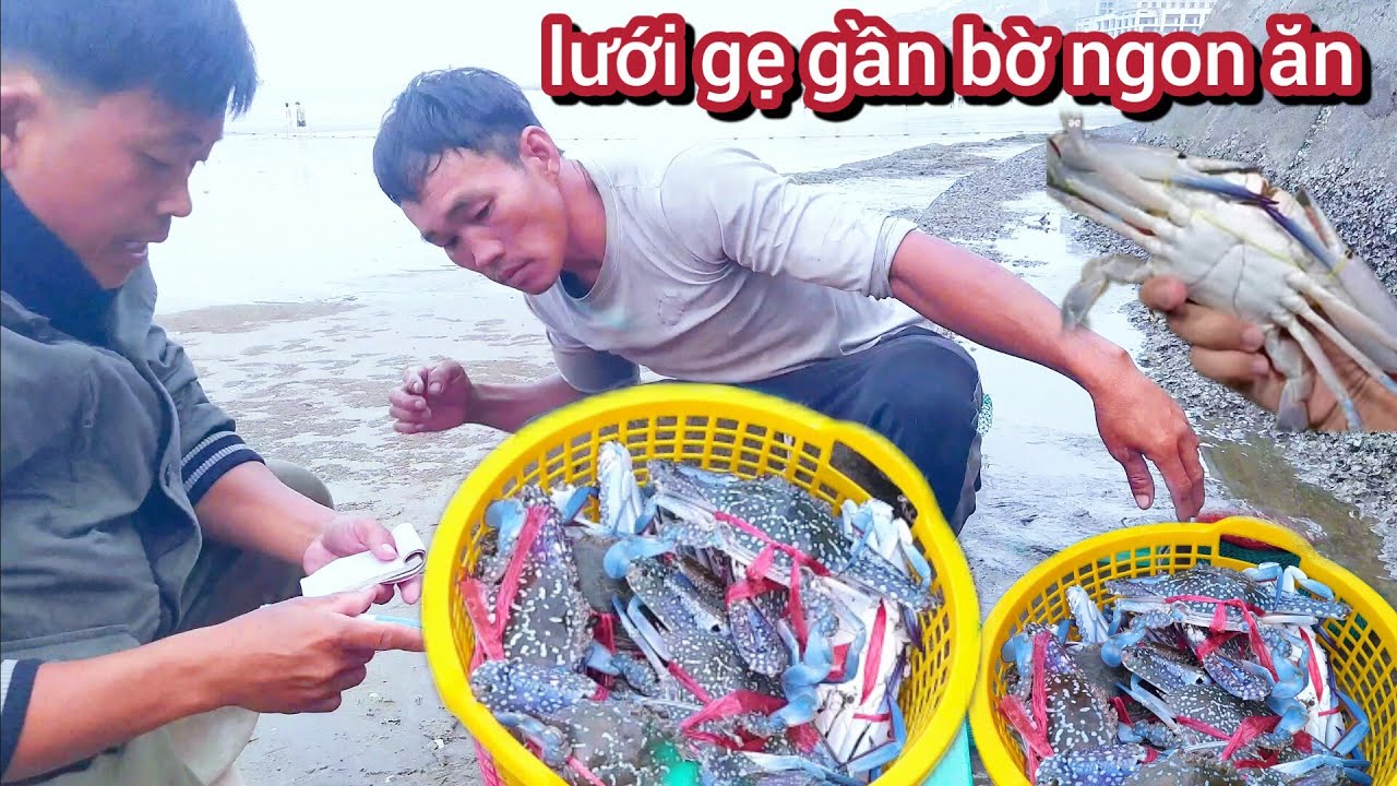 mấy chú kéo lưới cá đối sáng sớm || xuồng lưới gẹ vào bán tại bãi trước vũng tàu 
