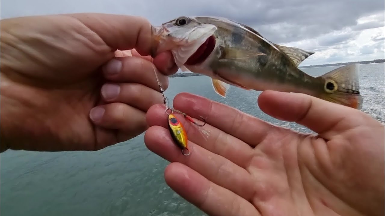 Micro Jumping Jig - Técnica Diferente e Eficiente. Tucunaré no Ultra Light. @maisumpescador