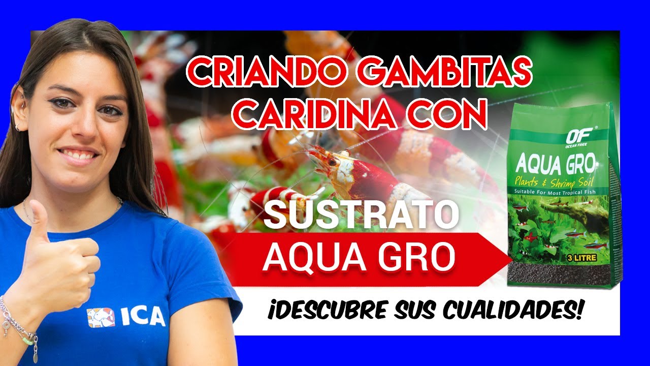 SUSTRATO AQUA GRO ideal para Gambas y Plantas 🌱🦐