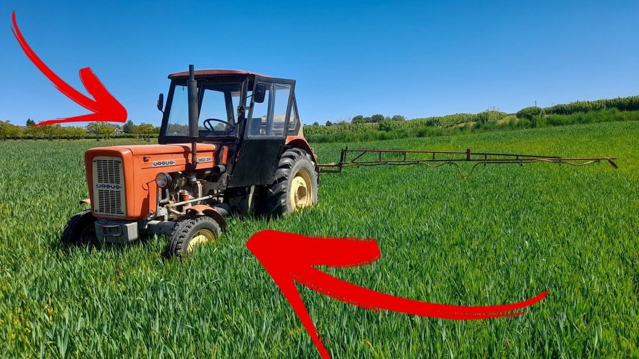 Dokarmianie dolistne pszenicy przed kłoszeniem 🌾