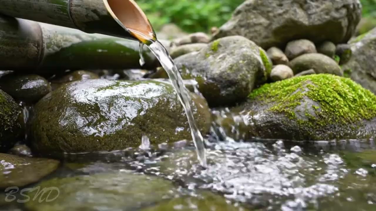 Gentle Flowing Water in Nature | Calming River Sounds for Relaxation