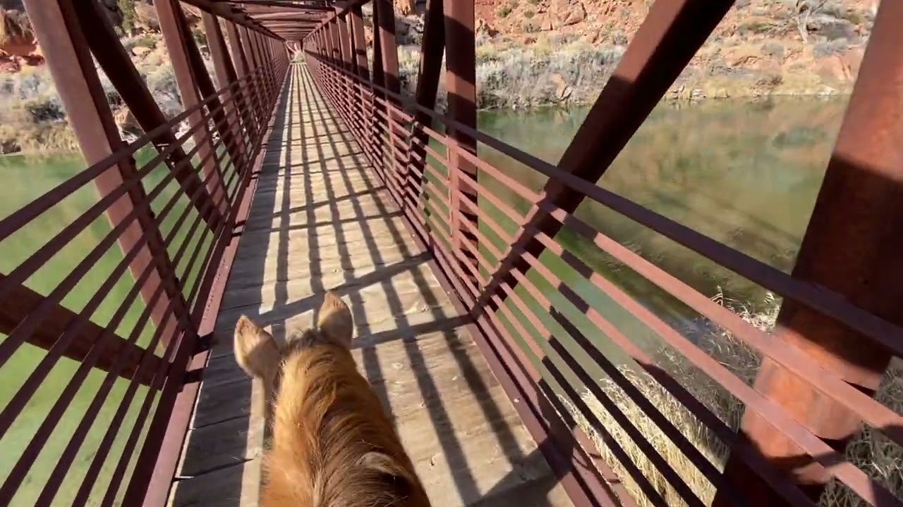 Not much head room. Bridge over the Gunnison River, Colorado