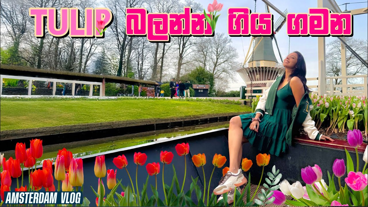 Amsterdam වල Tulips බලන්න ගියා 🌷| Plans අවුල් උනා…?? 😕 | Keukenhof 🚌