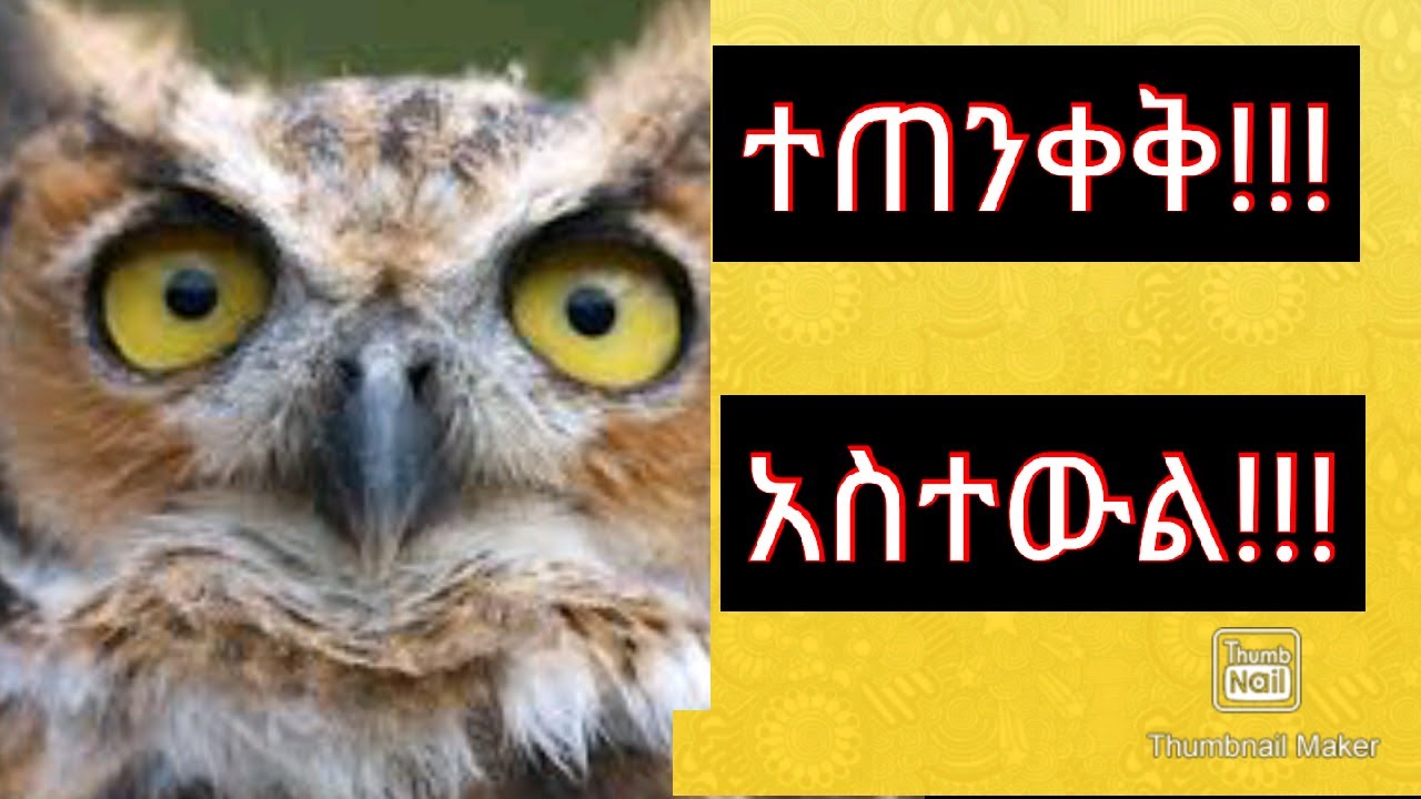 እነዚህን 10 እንስሳት በማንኛውም ሁኔታ ካየህ ከአምላክ የሚነገርህ ነገር አለና ተጠንቀቅ!!! (God message)
