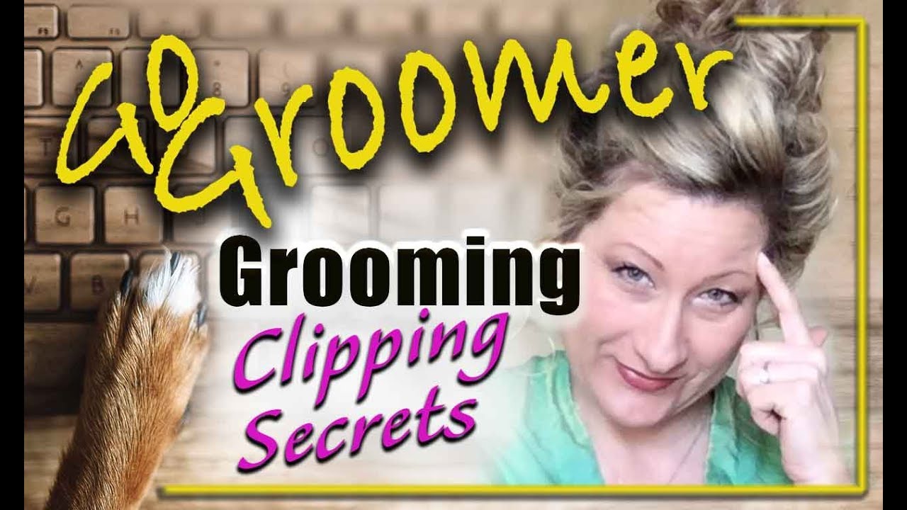 How to ERASE CLIPPER LINES from a Cocker Spaniel Dog!-Dog Grooming-Clipping Secrets