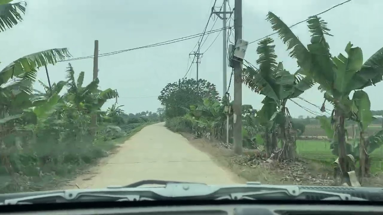 Đường ra bãi xóm 2