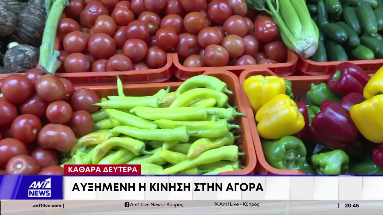 Έτοιμοι για την Καθαρά Δευτέρα οι Κύπριοι – Γέμισαν τα καρότσια με λαγάνες, θαλασσινά και χαλβάδες