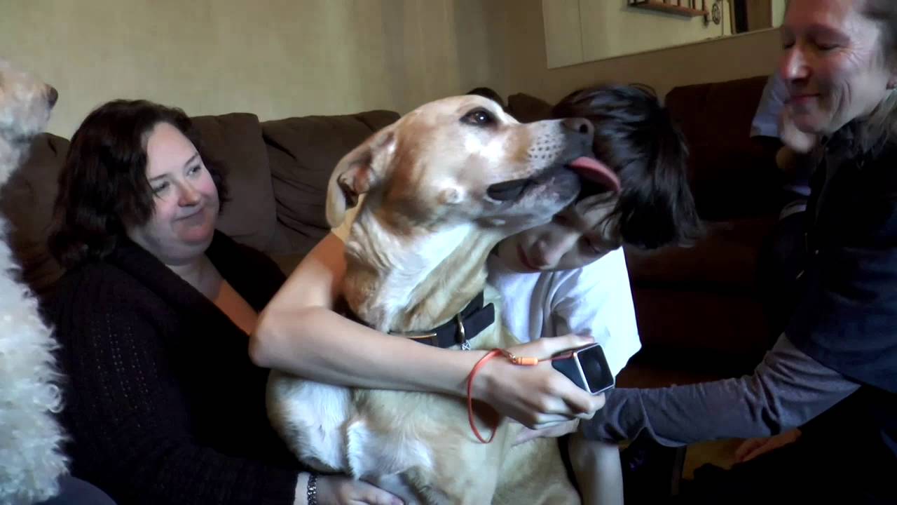 Pet Acoustics, Dr. Dale Krier In-Home Euthanasia with Draven and Family