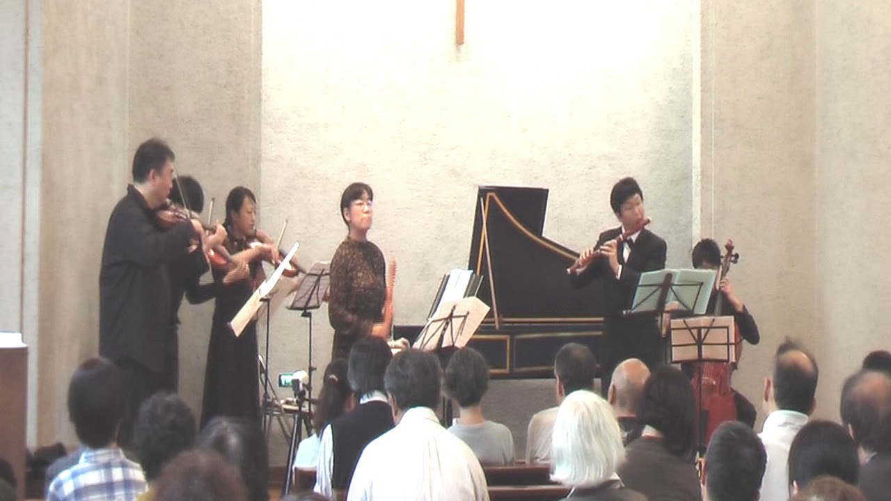Telemann : Concerto for Recorder and Flute in E minor, TWV52:e1 Last Movement