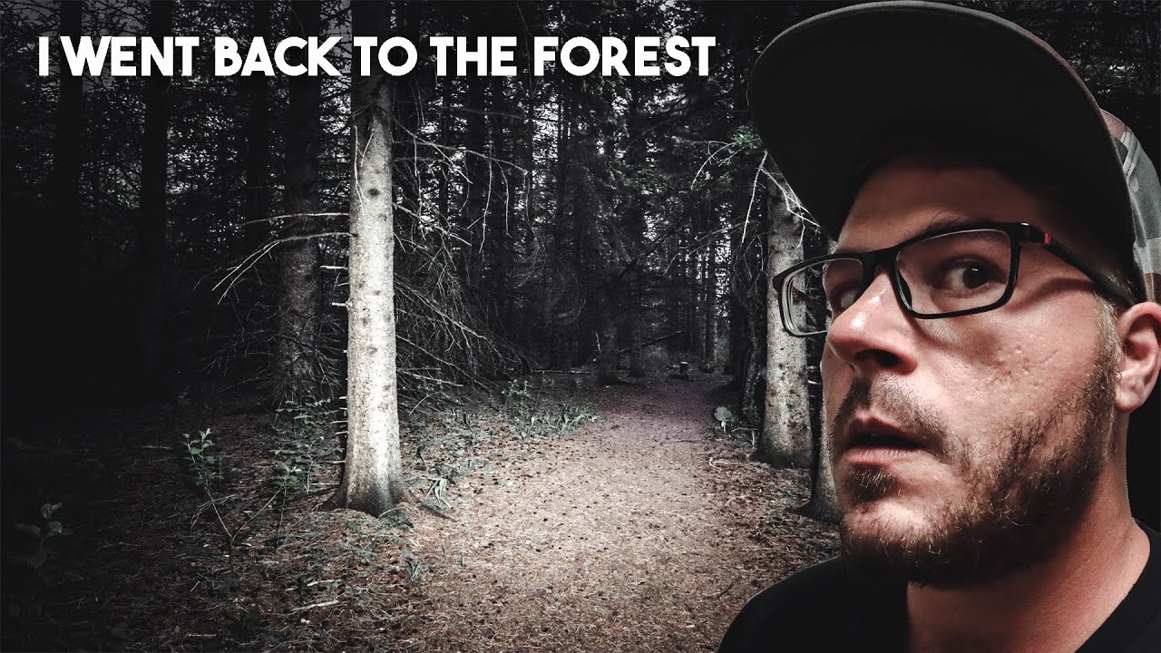 I WENT BACK TO THE FOREST TO SEARCH FOR MORE CLUES USING RANDONAUTICA