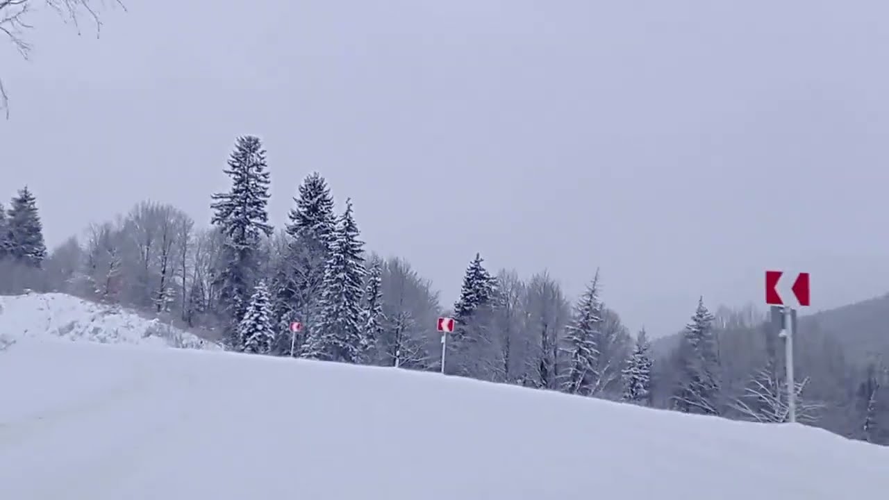ბორჯომი - ბაკურიანი / Borjomi - Bakuriani 03/02/2023 08:00AM