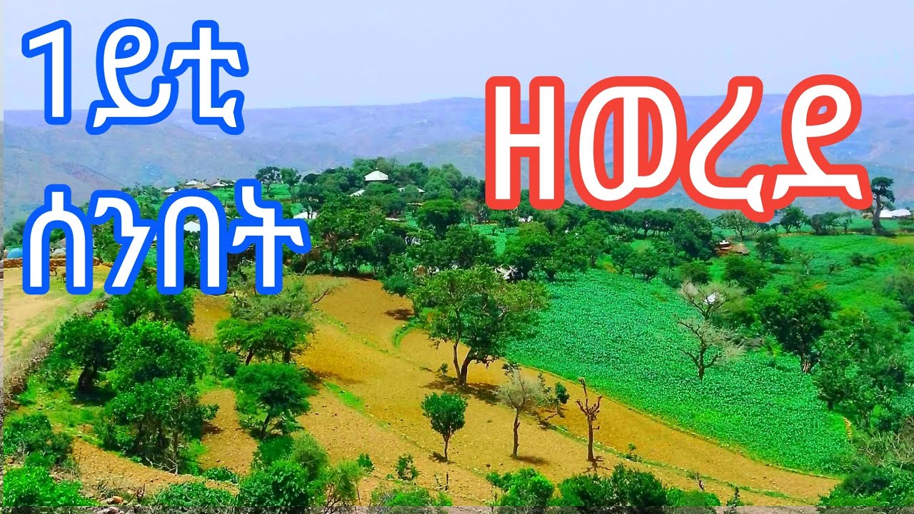 1ይቲ ሰንበት #ዘወረደ /ሕርቃል#orthodoxmezmur #voiceeffects #like 