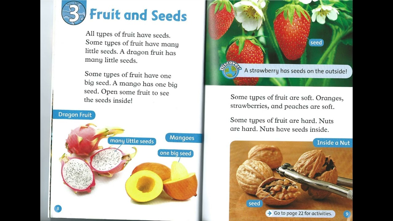 (Oxford RnD - Level 1) Fruit