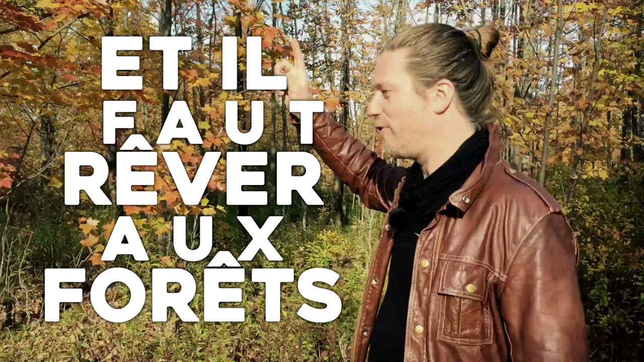 MATHIEU LIPPE - SLAM FORÊT